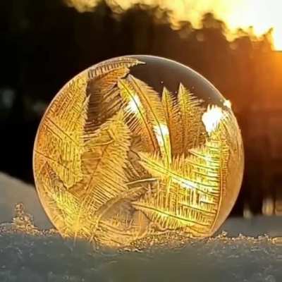 ? Winter Dragon Ball