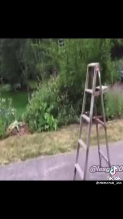 You better run