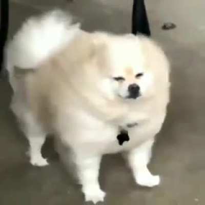 *anime protagonist powers up* side characters: