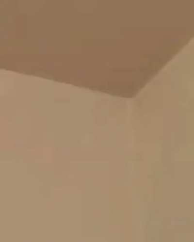 Cat sees John Cena [sound on] [abusive]