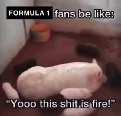 trying to trigger F1 fanbase