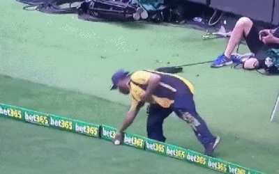 to Throw a Ball...