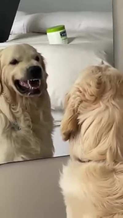 Gud boy practicing being a bad boy