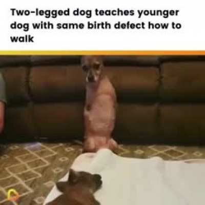 This is so wholesome ?