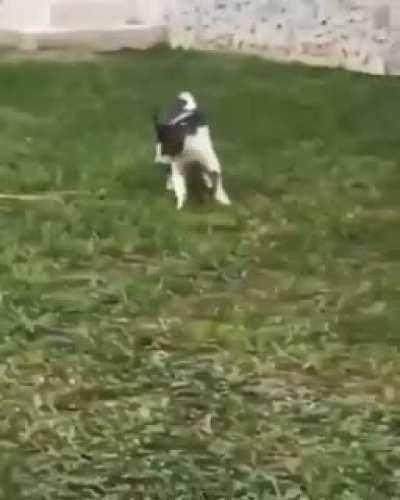 Yeah, I've got your back.
