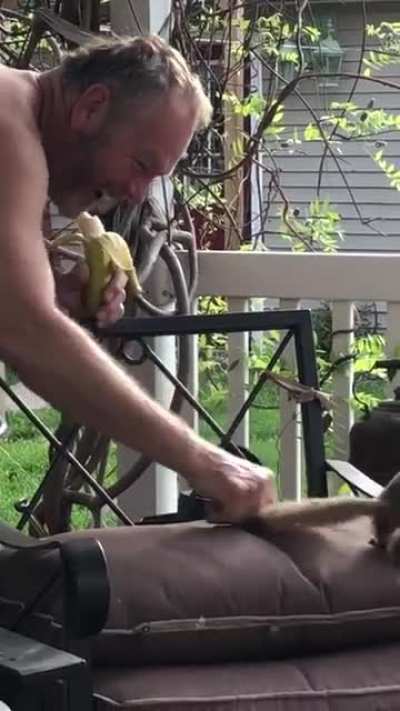 playtime with squirrel