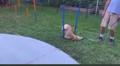 Error: unexpected barrier at t=11, initializing shutdown