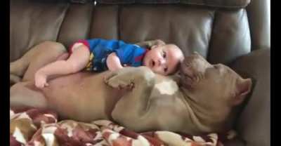 Made my heart melt...?