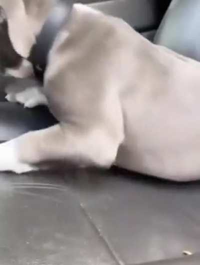 To sit in the drivers seat