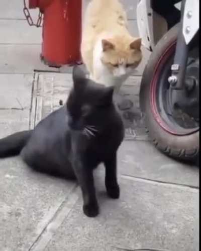 Caught his cheatin’ ass