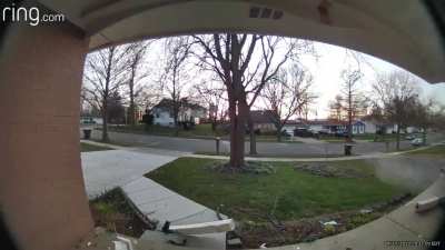 Idiot on my porch