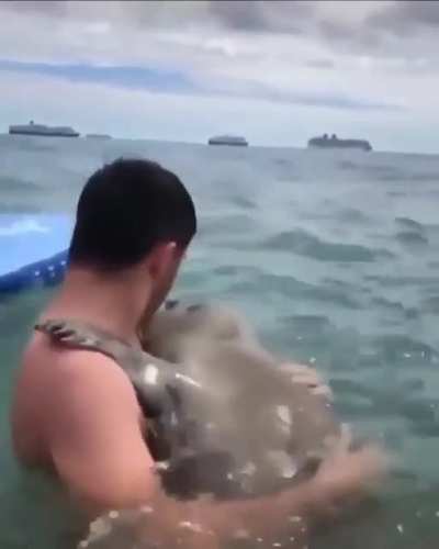 ? Seal approaches a human and hugs him