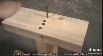 An expert woodcraftsman