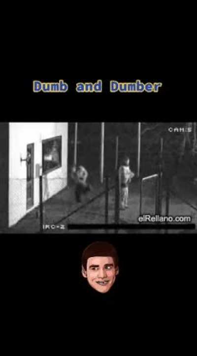 dumb and dumber...