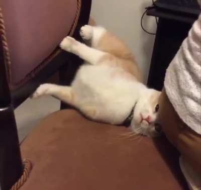 nom nom nom nom FUCK