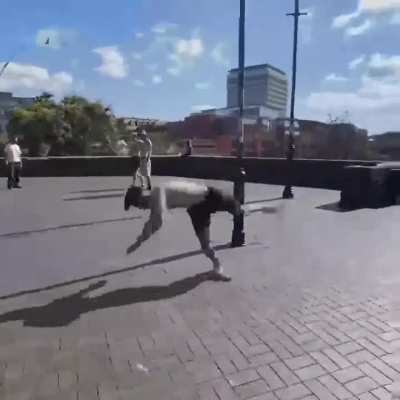 Parkour sessions