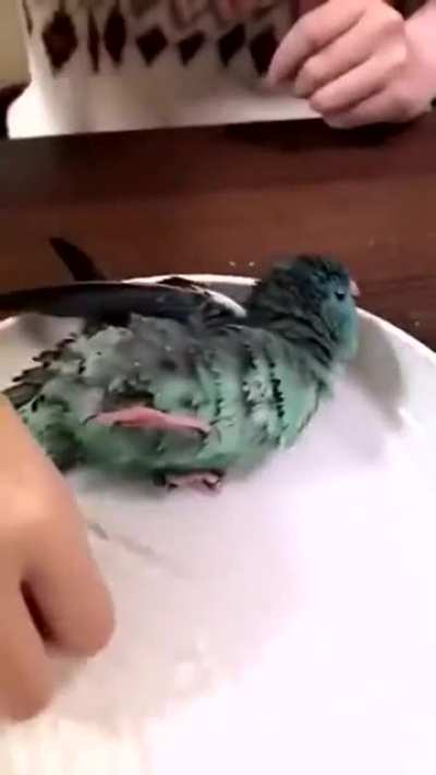 Nice bath?