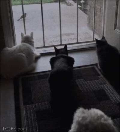 BOO!