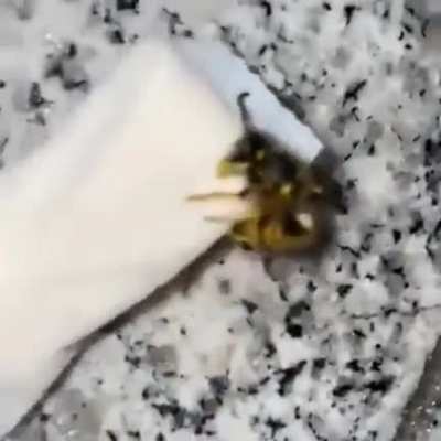 ??‍??‍?