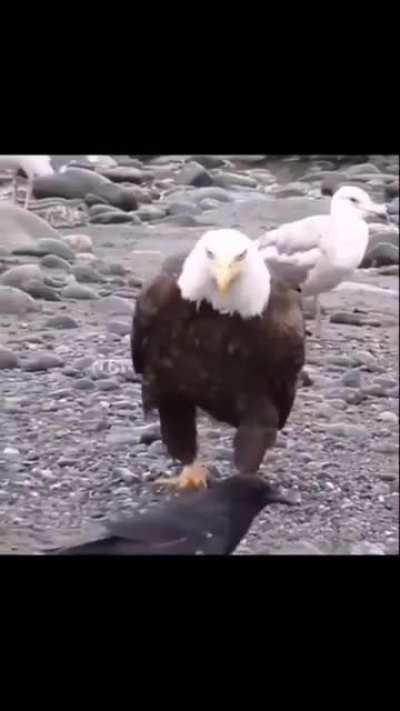 ? When a level 50 player accidentally walks into a game full of noobs.