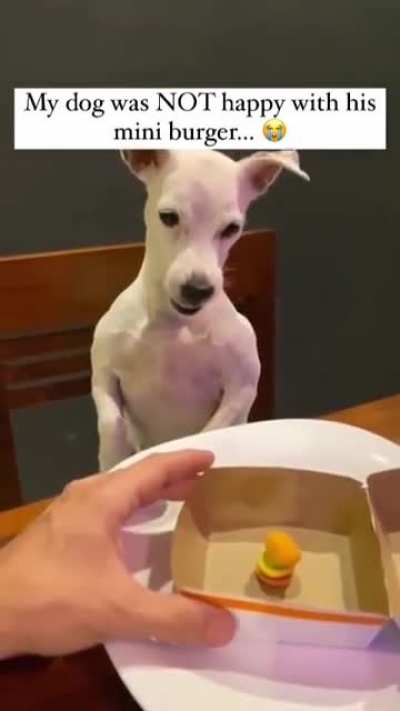 This Dog is very upset: The Un-Value Meal?