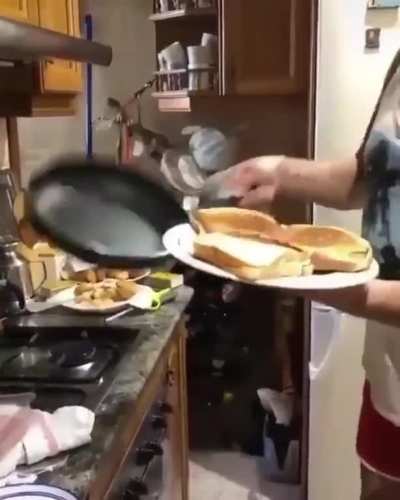 My sandwiches?