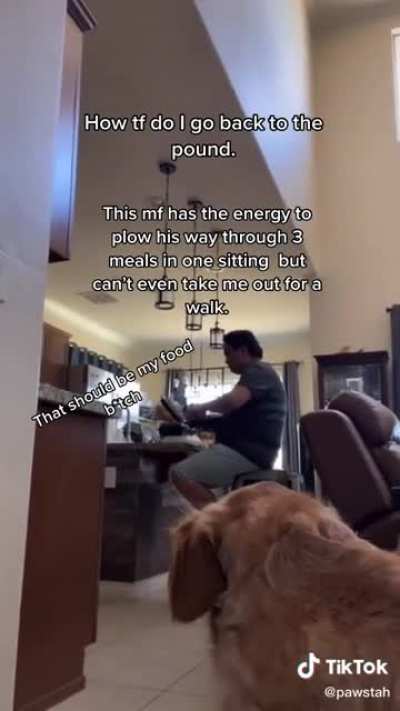 I better start walking my dog