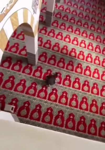 Pretty carpet