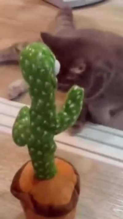 ?‍⬛?