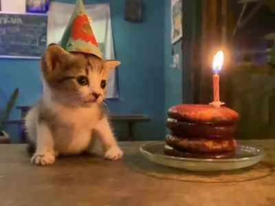 Happy birthday Kitty 🥳