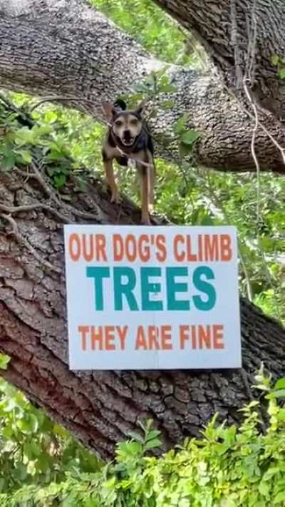 Enough people called so they had to put up a sign