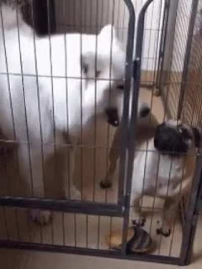 "WHAT? WHAT? WHAT NOW BITCH? HUH??!?"