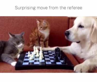 Close match!