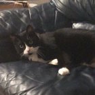 I guess he heard a fly fart
