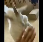 Kids stop fighting!