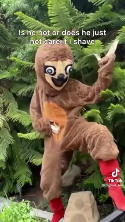 Who wouldn’t want to explore that forest.