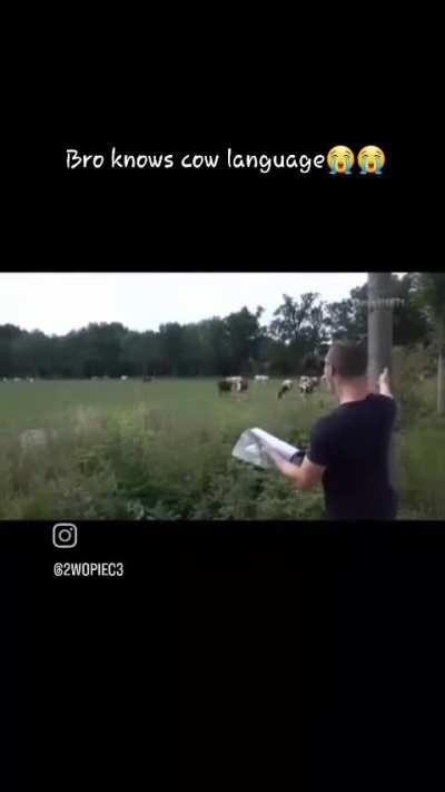 Found this in instagram. This is one of the rarest talent.