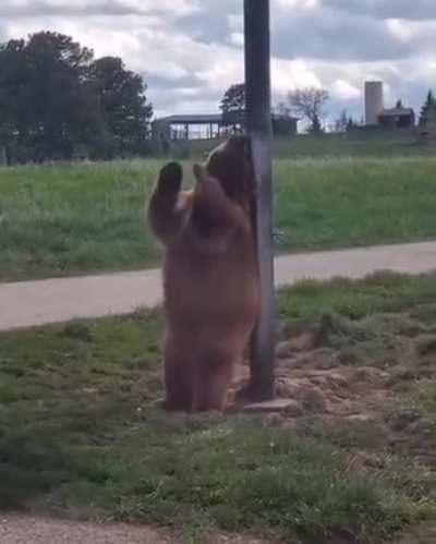 No one is looking..time to relax
