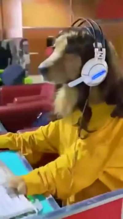 Best gamer girl