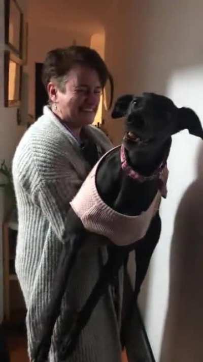 my mum’s dog had to go to the vet. she came back very, very high.