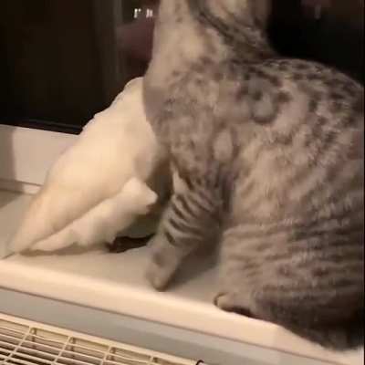 "Not now... everyone can see us"