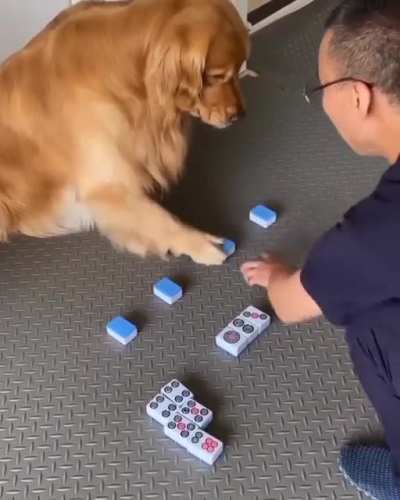 Maybe maybe maybe