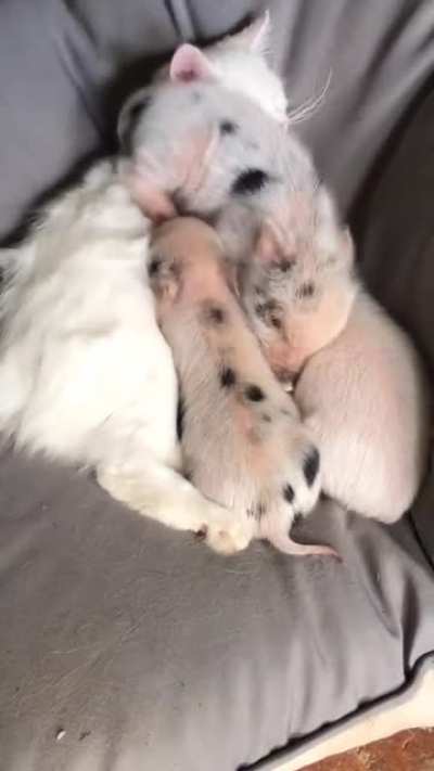 ?