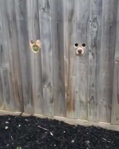 Welcome home! ???