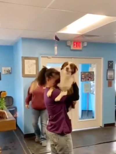 (OC) She reunited with her dog after 21 days and look at the dog's reaction