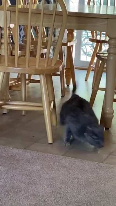 HMC while I bonk my head ??‍♀️