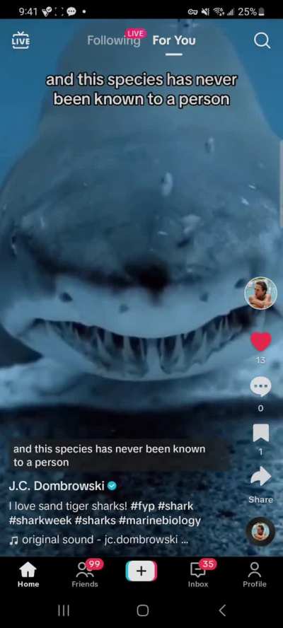Shark