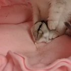 This video made my day