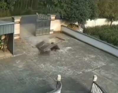 ? The strength of a wild boar smashing through a 100-pound iron gate with a single blow