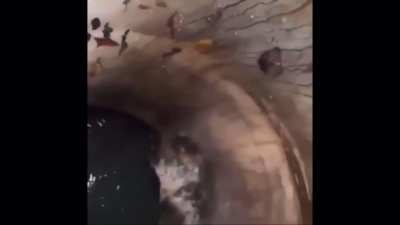 Dont go down there